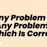 Any Problem or Any Problems Which Is Correct