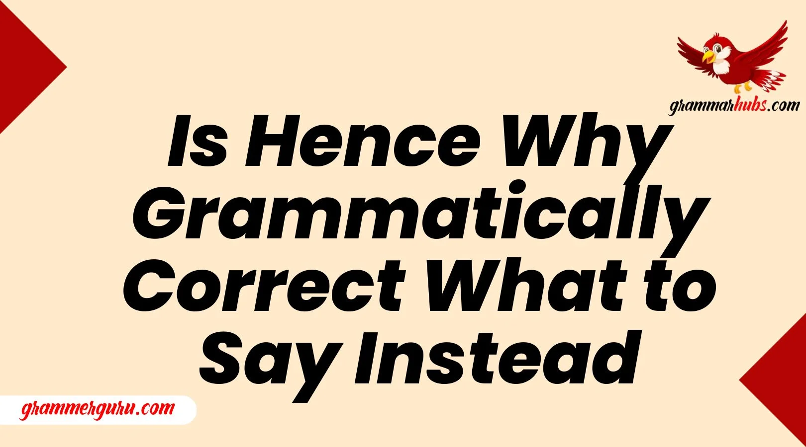 IS FOR WHY GRAMMATICALLY CORRECT visual data 4