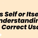 Its Self or Itself Understanding the Correct Usage