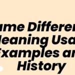 Same Difference Meaning Usage Examples and History