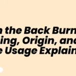 On the Back Burner Meaning, Origin, and Real Life Usage Explained