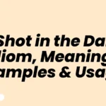 A Shot in the Dark Idiom, Meaning, Examples & Usage