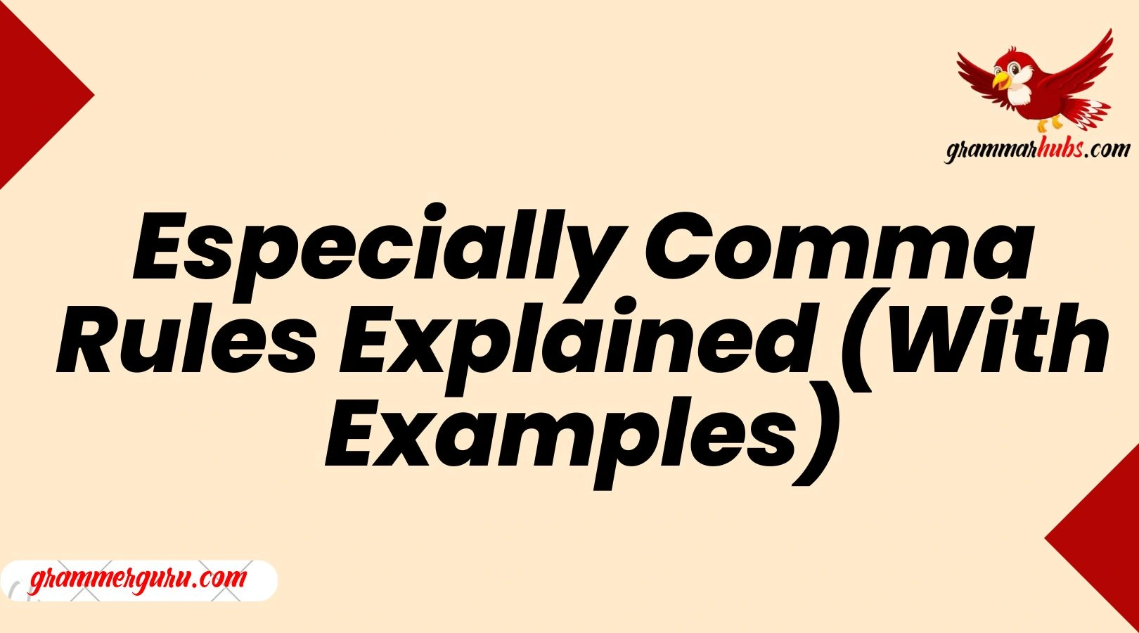 Especially – Comma Rules Explained (With Examples)